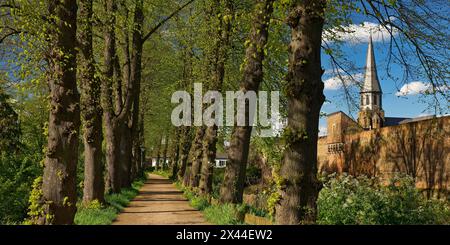 Tree-lined avenue with town wall and tower of the parish church of St Martinus in Zons, Dormagen, Lower Rhine, North Rhine-Westphalia, Germany Stock Photo