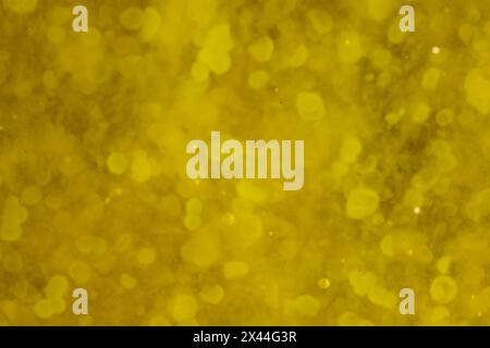 Texture of virgin olive oil with solid grounds for background Stock Photo