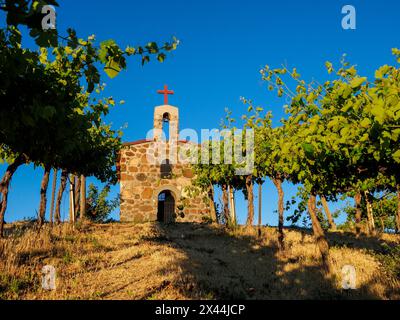 Red Willow Vineyards with stone chapel. (PR) Stock Photo