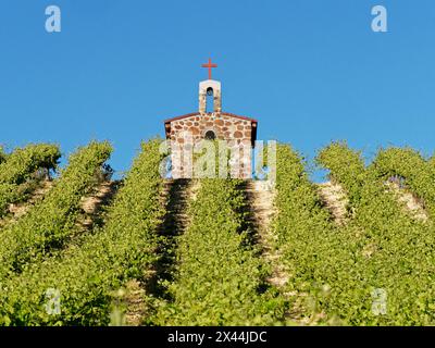 Red Willow Vineyards with stone chapel. (PR) Stock Photo