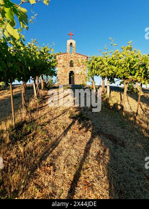 Red Willow Vineyards with stone chapel. (PR) Stock Photo