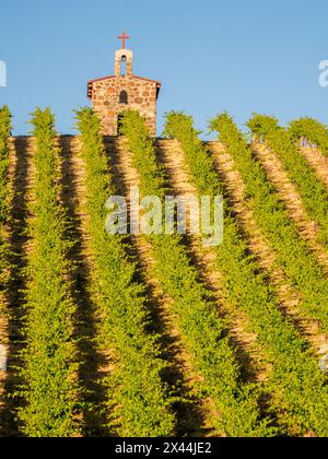 Red Willow Vineyards with stone chapel. (PR) Stock Photo