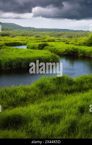 USA, West Virginia, Canaan Valley State Park. Storm clouds over stream in grassy valley. Stock Photo