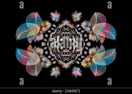 Multi-colored skeleton leaves arranged on black background Stock Photo