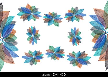 Multi-colored skeleton leaves arranged on white background Stock Photo