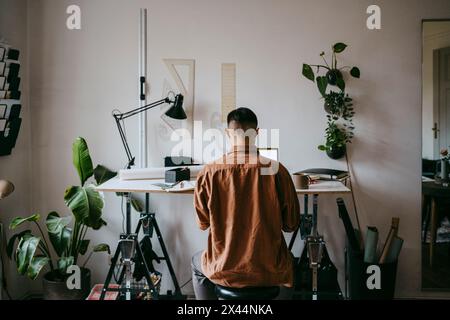 Rear view of male freelancer working on laptop at home office Stock Photo