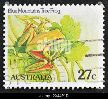 Cancelled postage stamp printed by Australia, that shows Blue Mountains Tree Frog (Litoria citropa), circa 1982. Stock Photo