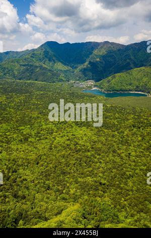 Aerial view of the 'Sea of Trees' aokigahara forest in the Fuji area of Japan Stock Photo