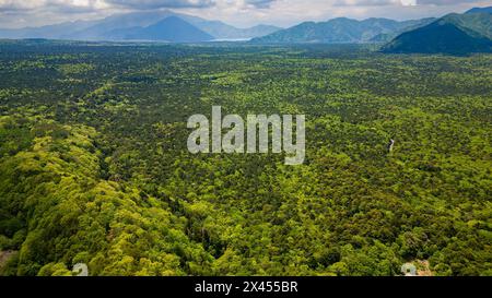 Aerial view of the 'Sea of Trees' aokigahara forest in the Fuji area of Japan Stock Photo