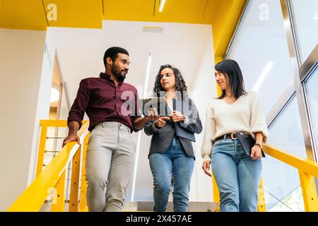 Multiracial coworkers happily talking about the company while walking down some yellow stairs in the office corridor Stock Photo