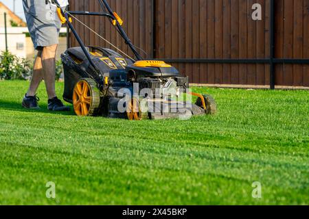 green grass cutting with lawn mower in home garden . Stock Photo