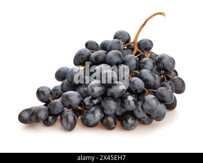 blue grapes path isolated on white Stock Photo