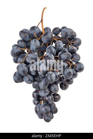 blue grapes path isolated on white Stock Photo