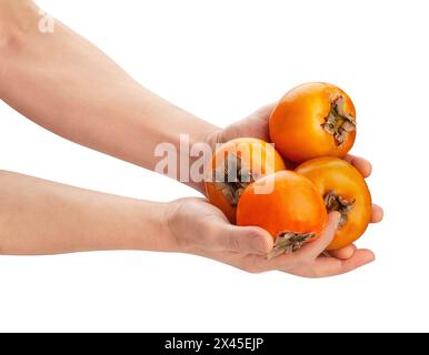 persimmon in hand path isolated on white Stock Photo
