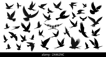 Set of silhouettes of flying birds in a flat style on a white background. Vector illustration. Stock Vector
