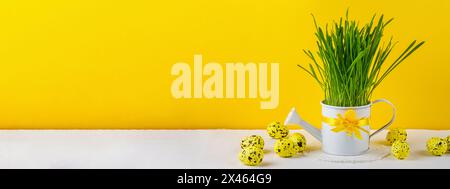 Easter still life, background, panorama, banner with space for text - white watering can with green grass knitted napkin and quail eggs on yellow back Stock Photo