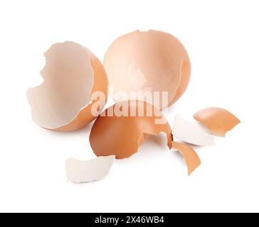 Shells of chicken egg isolated on white Stock Photo
