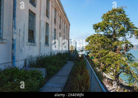 Alcatraz Prison Building, Pathway with Fence, San Francisco, USA Stock Photo