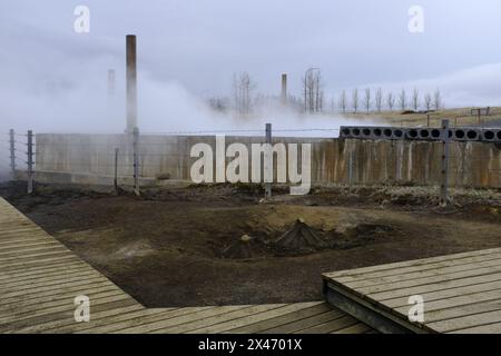 bread making in Laugarvatn, using the earths heat, Iceland Stock Photo