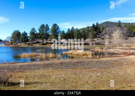 Lake Cuyamaca and Prairie Grassland Scenic Landscape View, Blue Sky.  Cuyamaca Rancho California State Park Sunny Winter Day Hiking Southwest US Stock Photo