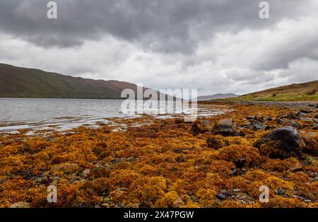 Dramatic view of Scottish loch lake and mountains with golden evening light and dark clouds in sky. Breathtaking landscapes show the power of nature. Stock Photo