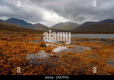 Dramatic view of Scottish loch lake and mountains with golden evening light and dark clouds in sky. Breathtaking landscapes show the power of nature. Stock Photo