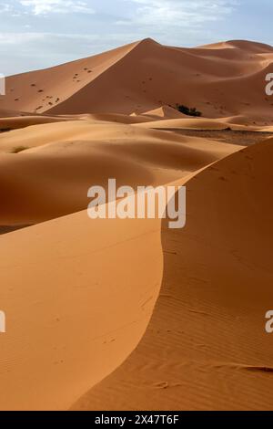 Sunrise at Merzouga, which lies on the edge of Erg Chebbi (the Sand Sea) in Morocco. Merzouga is a small village in south-eastern Morocco near Rissani Stock Photo