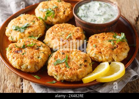Chickpea Fritters with garlic, fresh herbs, spices served with dipping yogurt sauce close-up in plate on the table. Horizontal Stock Photo