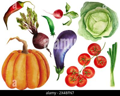 Ingredients, Vegetable illustration set, harvest, pumpkin, mushroom, onion, broccoli, chili, pepper, cabbage, green, peas, tomato, cherries Stock Photo
