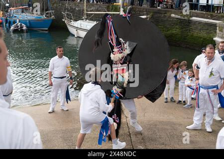 Padstow, Cornwall, UK. 1st May 2024. May Day celebrations. The streets of Padstow were packed for the traditional Obby Oss procession through the town. Credit Simon Maycock / Alamy Live News. Stock Photo