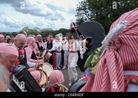 Padstow, Cornwall, UK. 1st May 2024. May Day celebrations. The Obby Oss continues the mayday celebtrations outside Prideaux place in Padstow. Credit Simon Maycock / Alamy Live News. Stock Photo