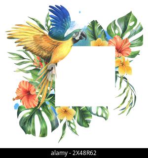 Tropical palm leaves, monstera and flowers of plumeria, hibiscus with blue-yellow macaw parrot. Hand drawn watercolor botanical illustration. Template Stock Photo