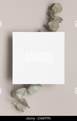 Invitation square card mockup with eucalyptus branches. Stock Photo