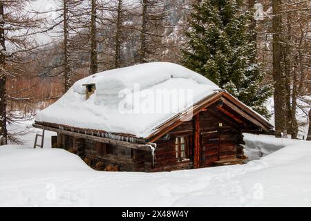 small wooden cottage immersed in the woods covered in snow Stock Photo ...