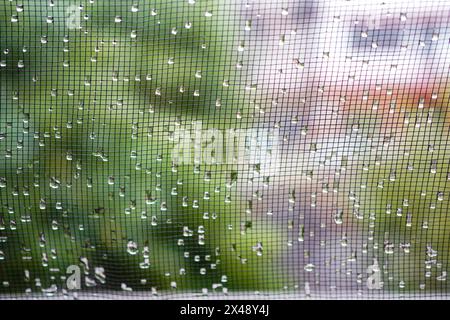 Rain water drops on gauze window with background of plants and buldings Stock Photo