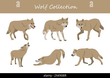 wolf collection. wolf in different poses. Vector illustration. Stock Vector