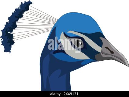 Cute peacock with crest and beak Stock Vector