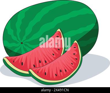 Delicious watermelon and cutted slices of it Stock Vector