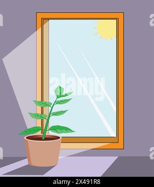 Glass mirror with potted plant in front and reflection of sun on it Stock Vector