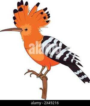 Madagascar hoopoe sitting on a tree branch Stock Vector