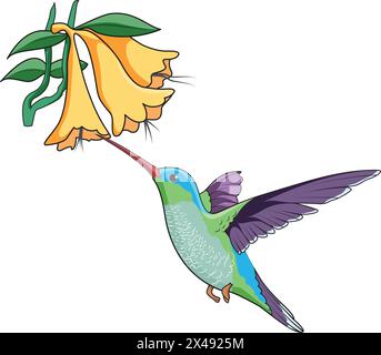 kingfisher sucking nectar from the flowers Stock Vector