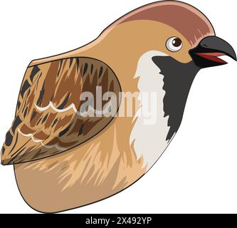 Sparrow beak Stock Vector