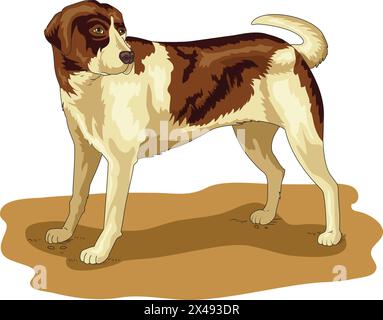Cute little dog waging its tail Stock Vector