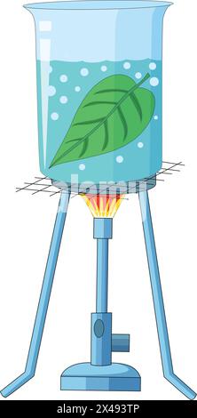 Experiment showing leaf dissolved in a water beaker placed on a tripod stand and bunsen burner in between Stock Vector