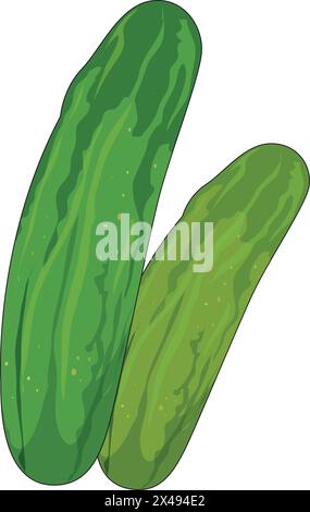 A pair of cucumbers Stock Vector