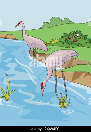 A swan drinking water and other standing still in a nature background Stock Vector