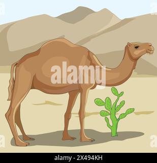 Camel standing in a desert field Stock Vector
