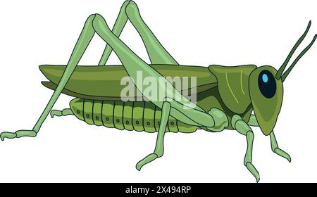 Cute grasshopper looking furiously Stock Vector