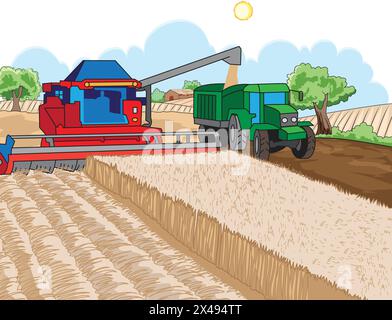 Cutting and collection of wheat crop using combine harvester Stock Vector