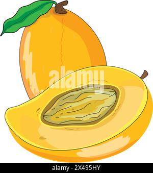 Fresh and delicious mangoes Stock Vector